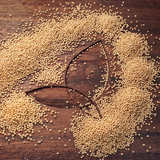 Sesame Seeds