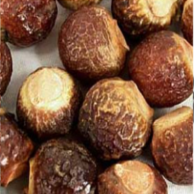 Aritha Soap Nuts (Whole)