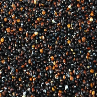 Black Quinoa