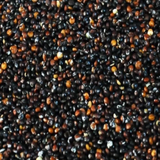 Black Quinoa