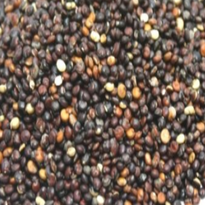 Black Quinoa