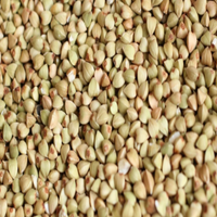 Buckwheat Groats