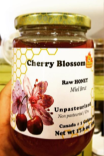 Cherry Blossom Honey (Unpasteurized)