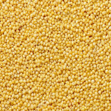 Couscous Seeds