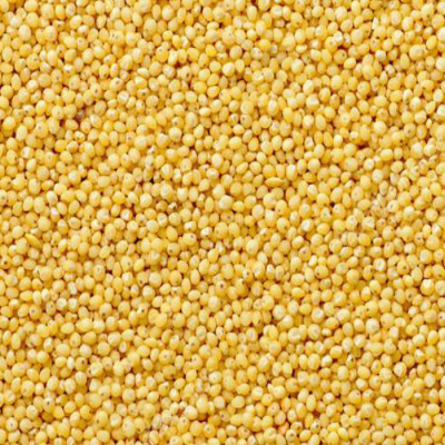 Couscous Seeds