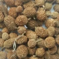 Gorakhmundi
