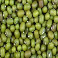 Green Lentil Whole (Sabut Mung)