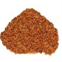 Halon/Aserio/Rashad Seeds