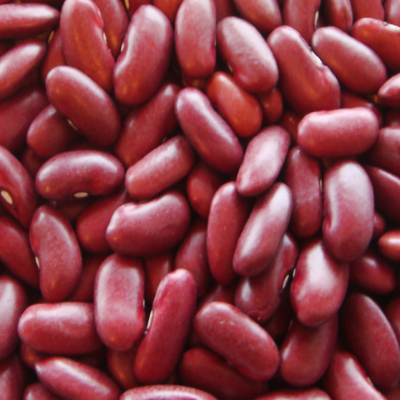 Dark Kidney Beans (Rajma)