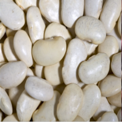 Lima Beans