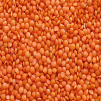 Red Lentil Whole (Sabut Masoor Dhuli)