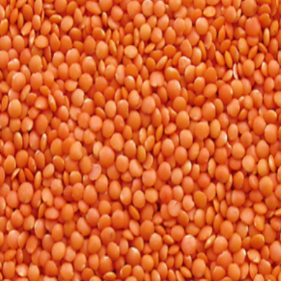 Red Lentil Whole (Sabut Masoor Dhuli)