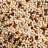 Mixed Quinoa