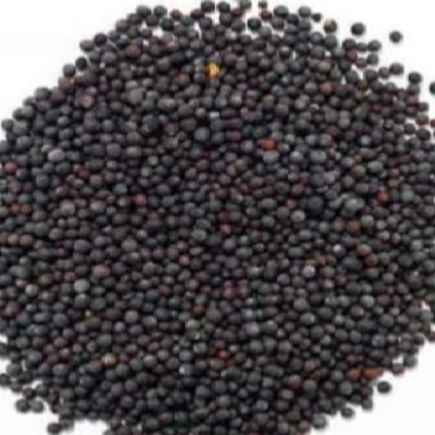 Mustard Seeds