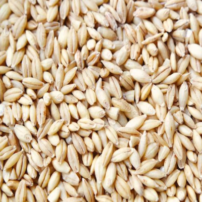 Pot Barley