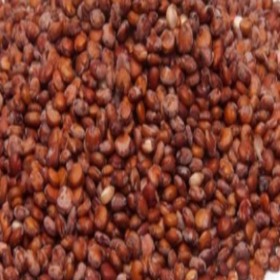 Red Quinoa - Organic