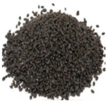 Tulsi (Basil) Seeds - Tukmaria