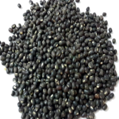 Black Lentil Whole (Sabut Urad Chilka)