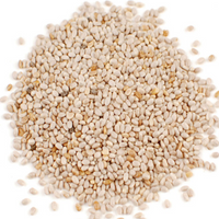 Chia Seeds