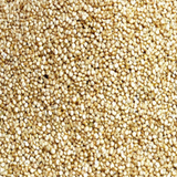 White Quinoa