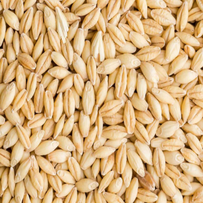 Whole Barley