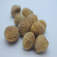 Apricots Sundried