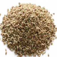 Carrom Seeds (Ajwain)