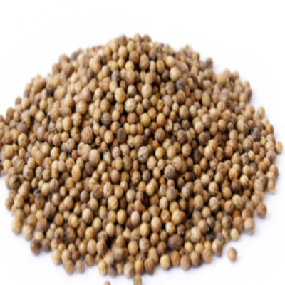 Corriander Seeds Canadian