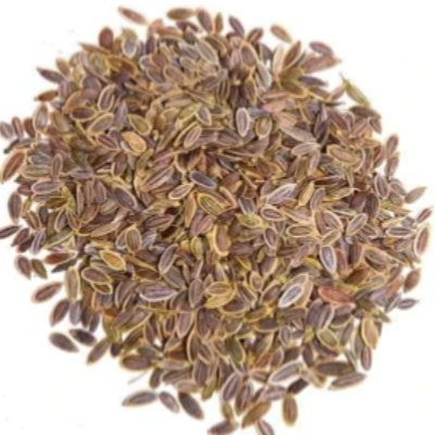 Dill Seeds