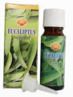 Sac Eucalyptus Fragrance Oil