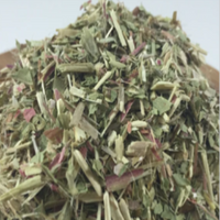 Evening Primrose Herb