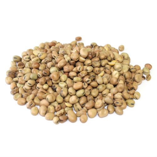 Fava Beans_Small
