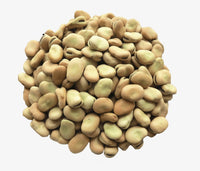 Fava Beans_Small