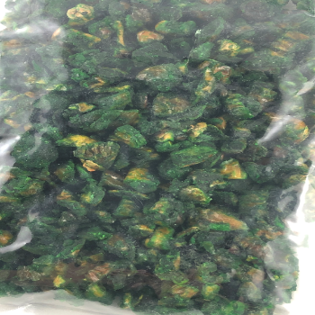 Pan Khajur - Green