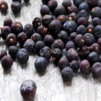 Juniper Berries