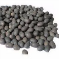Kamal Kakdi Seeds