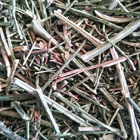 Kariyatu Whole