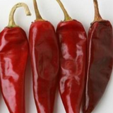 Kashmiri Chilli Whole - Big