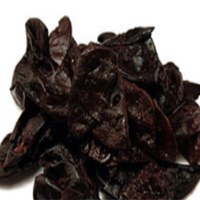 Kokum Wet (Kudampali)