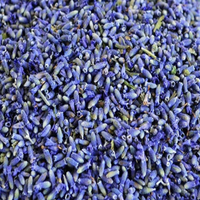 Lavender Leaves