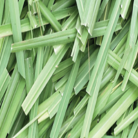 Lemon Grass Whole