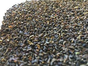Harmal Seeds