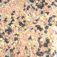 Soup Mix