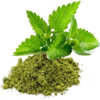 Tulsi Powder