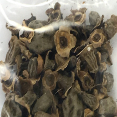 Vakumba (Tokra)