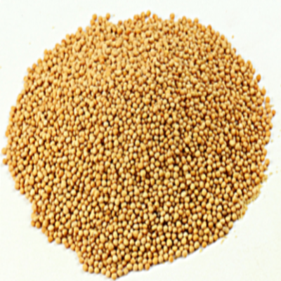 Yellow Mustard Seeds